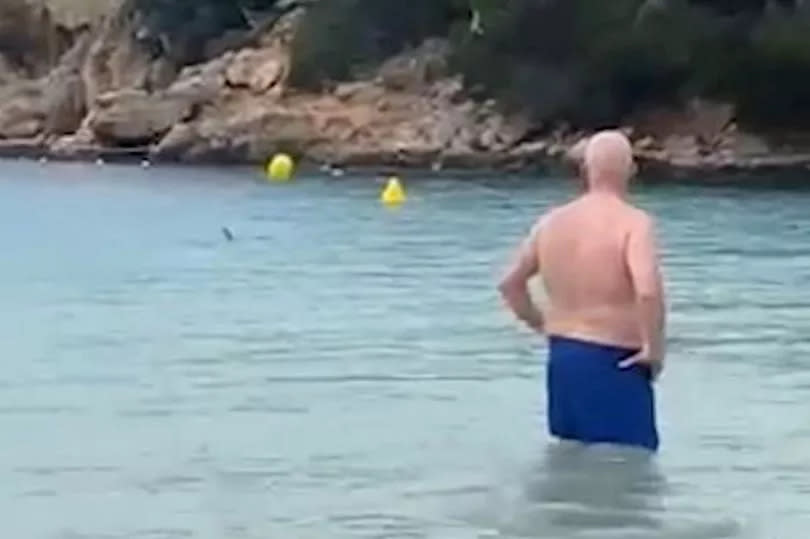 A swimmer looks on in horror as the shark's fin splits the sea's surface