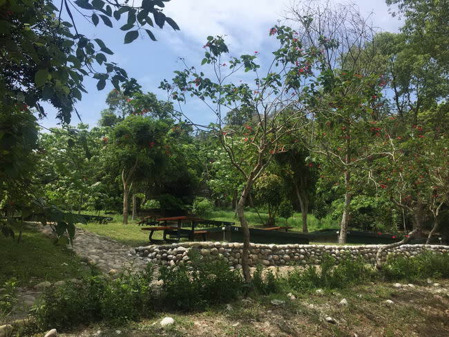 荷苞山步道（圖片來源：慢遊雲林）