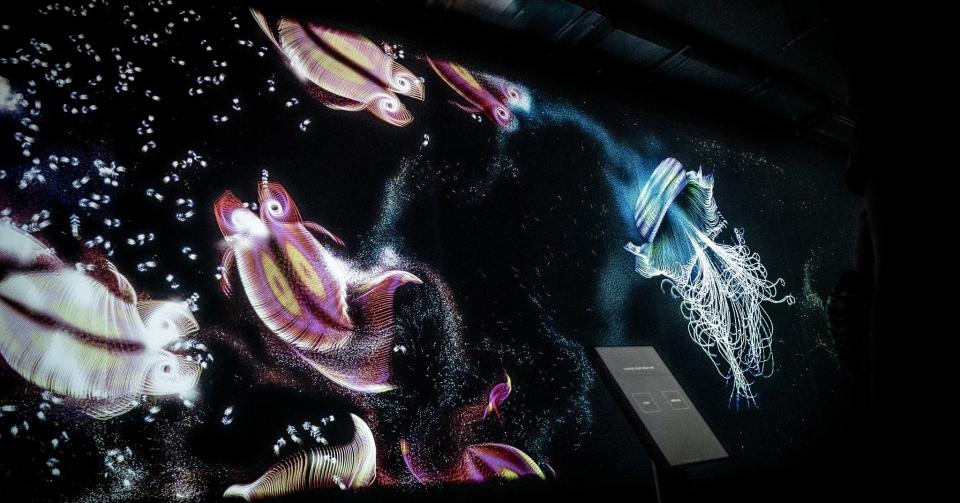 聖誕節好去處2023｜全球首座數碼藝術水族館登陸啓德AIRSIDE！5大主題作品：MR混合實境珊瑚礁、互動光影水母、免費入場！