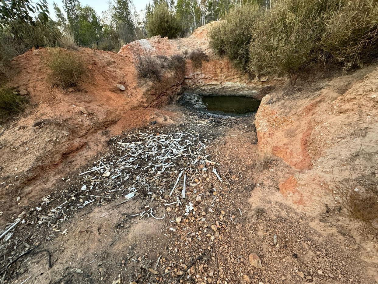 The burial pit around 1km away from South Para Reservoir. Bones can be seen in front of the stagnant water.