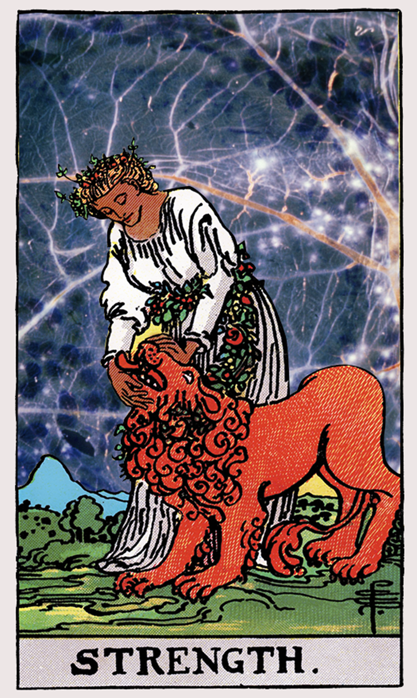 strength tarot card