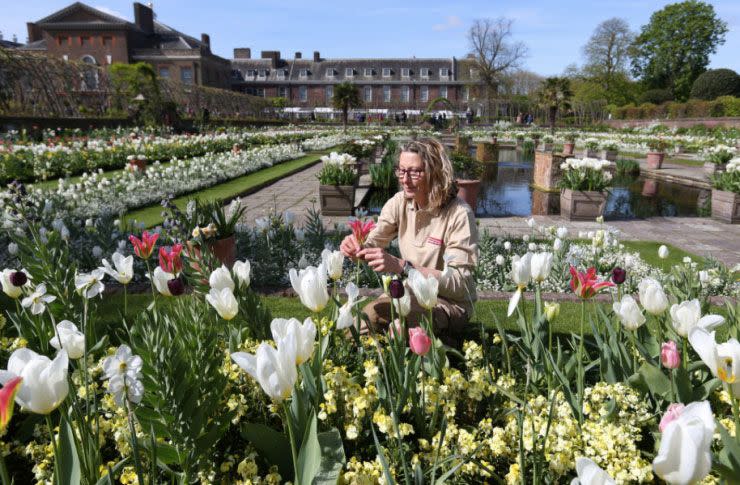 Some 12,000 flowers fill the gardens. Source: PA