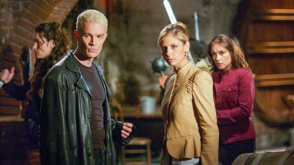 buffy the vampire slayer, buffy and spike