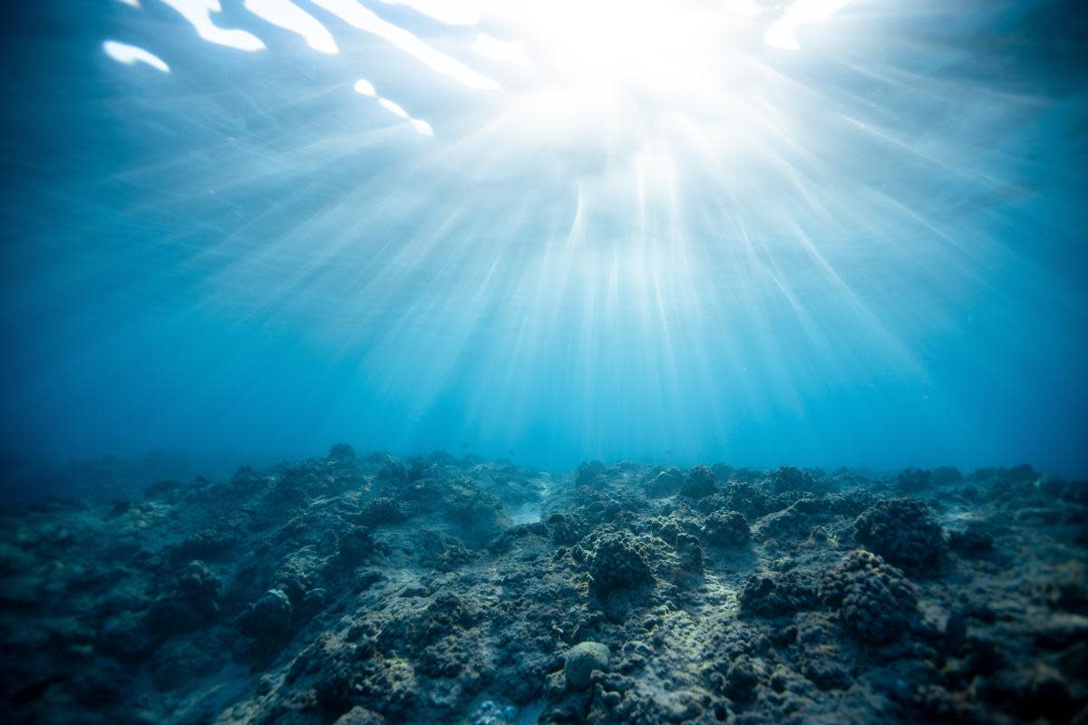 Three UK scientists from the National Oceanography Centre have been honoured <i>(Image: Supplied)</i>