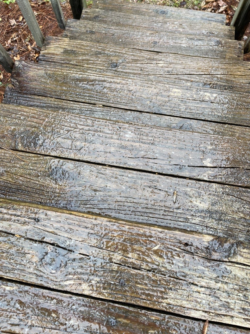 Elevated areas are beginning to ice over in Jacksonville. Daily News Reporter Morgan Starling's deck steps are already slick with ice.