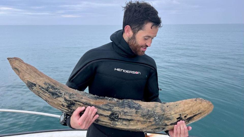 Lundberg looking at massive tusk