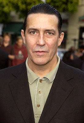 Ciaran Hinds at the LA premiere of Paramount's The Sum of All Fears