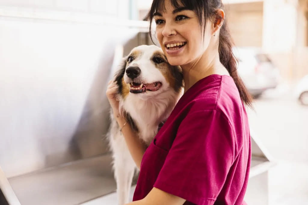 dog groomer hugging border collie