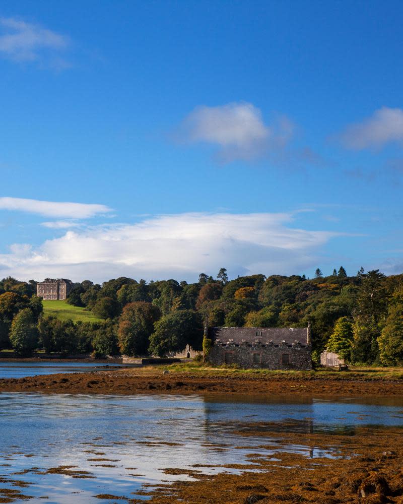 Distant 18th Century Castleward on the banks of Strangford Lough, County Down, Northern IrelandF9N3JP Distant 18th Century Castleward on the banks of Strangford Lough, County Down, Northern Ireland