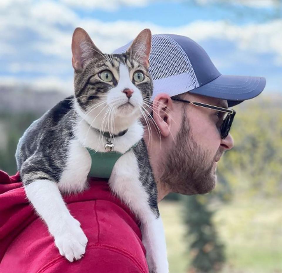 cat in harness on shoulders of man before slipping his harness