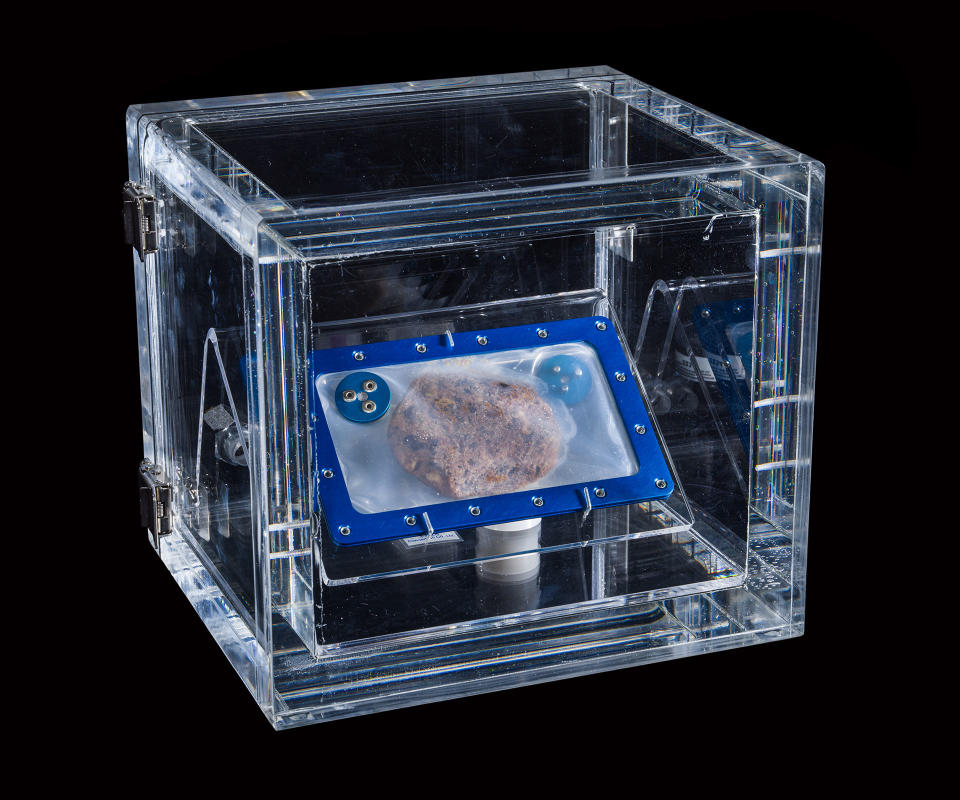 Photo of a cookie inside a plastic case inside a clear lucite cube sitting on a dark table