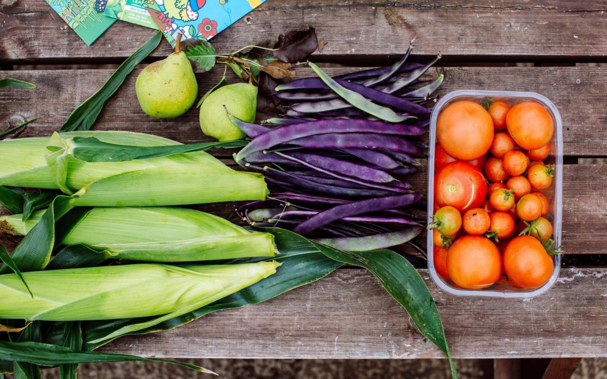 Vegetables from a Britain in Bloom garden in Reading - © RHS