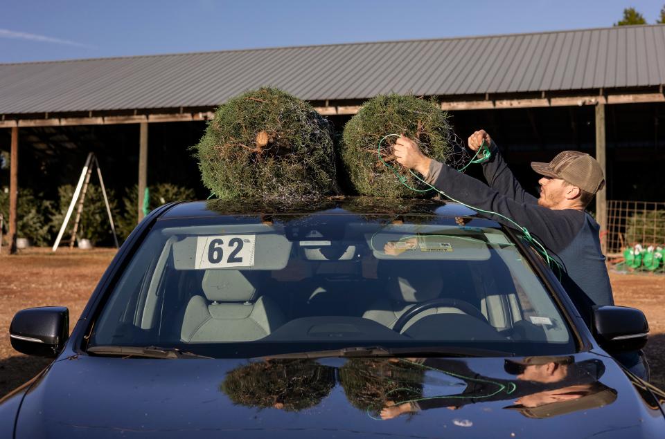 Employee Hunter Christian loads Christmas trees onto a customer’s vehicle at Jack's Creek Farms on Monday, Nov. 22, 2021 in Bishop.