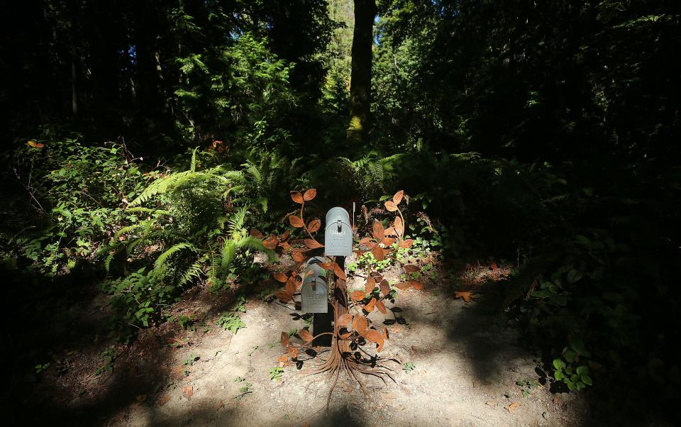 Sunlight filters through the trees to illuminate the Kindred Spirit mailboxes in Bainbridge Island’s Fort Ward Park on Sept. 14.