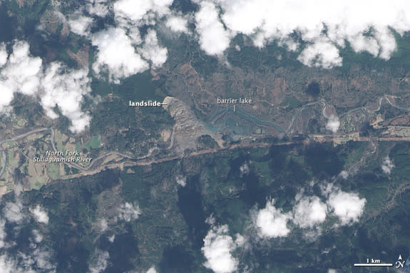 The Operational Land Imager (OLI) aboard Landsat 8 acquired this image on March 23, 2014, showing the devastation from a landslide that struck near Oso, Wash.