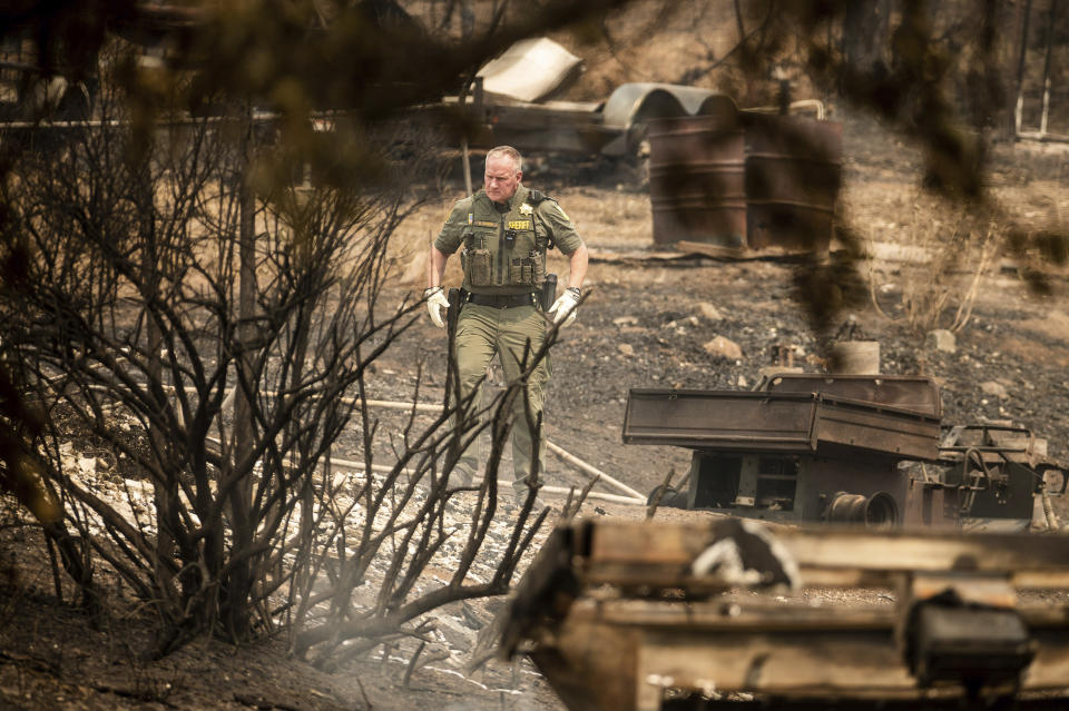 A sheriff's deputy searches a scorched property following the McKinney Fire on Tuesday, Aug. 2, 2022, in Klamath National Forest, Calif. His team did not find any fire victims at the location. (AP Photo/Noah Berger)