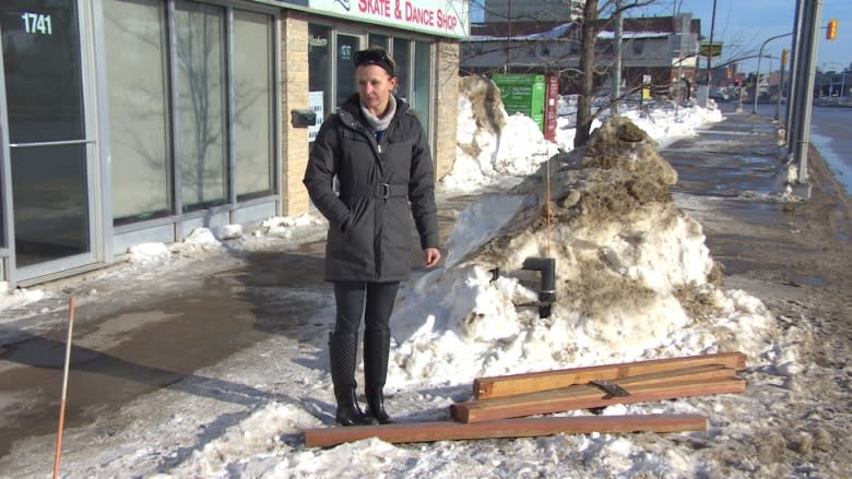 Winnipeg business group says snowplows did $10K in damage