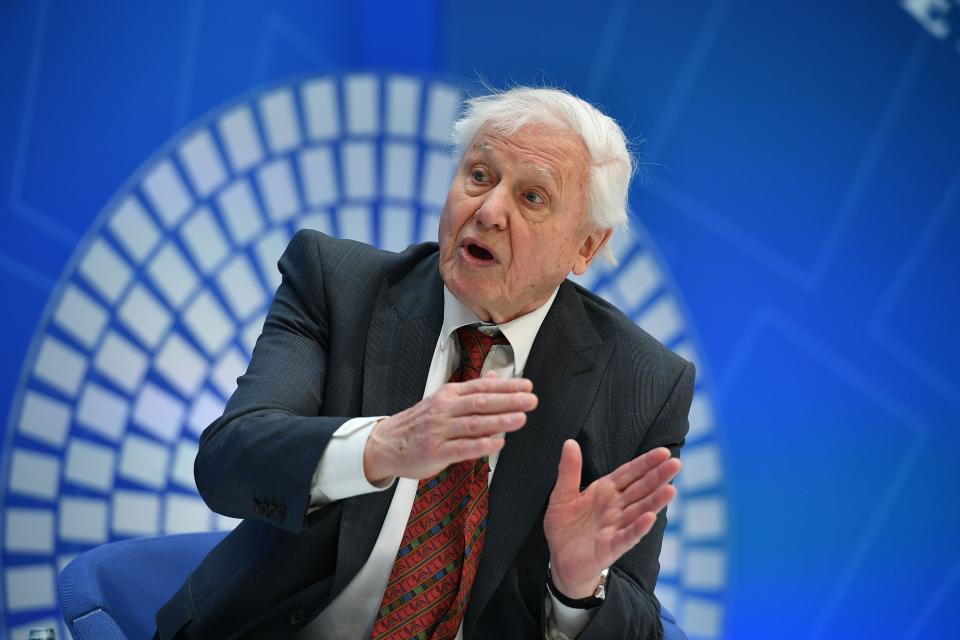 Broadcaster and natural historian David Attenborough takes part in a discussion on nature and the economy during the IMF - World Bank Spring Meetings at International Monetary Fund Headquarters. (Credit: MANDEL NGAN/AFP/Getty Images)