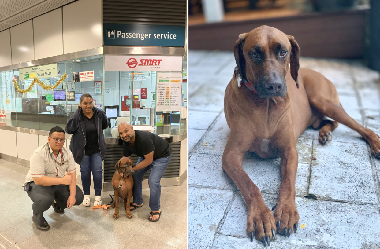 Photo of found dog with two SMRT staff (left) and photo of dog named 'Apollo' 