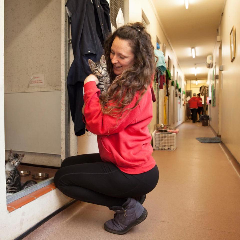 Holly Hedge worker Josie Bircham with a rescued kitten