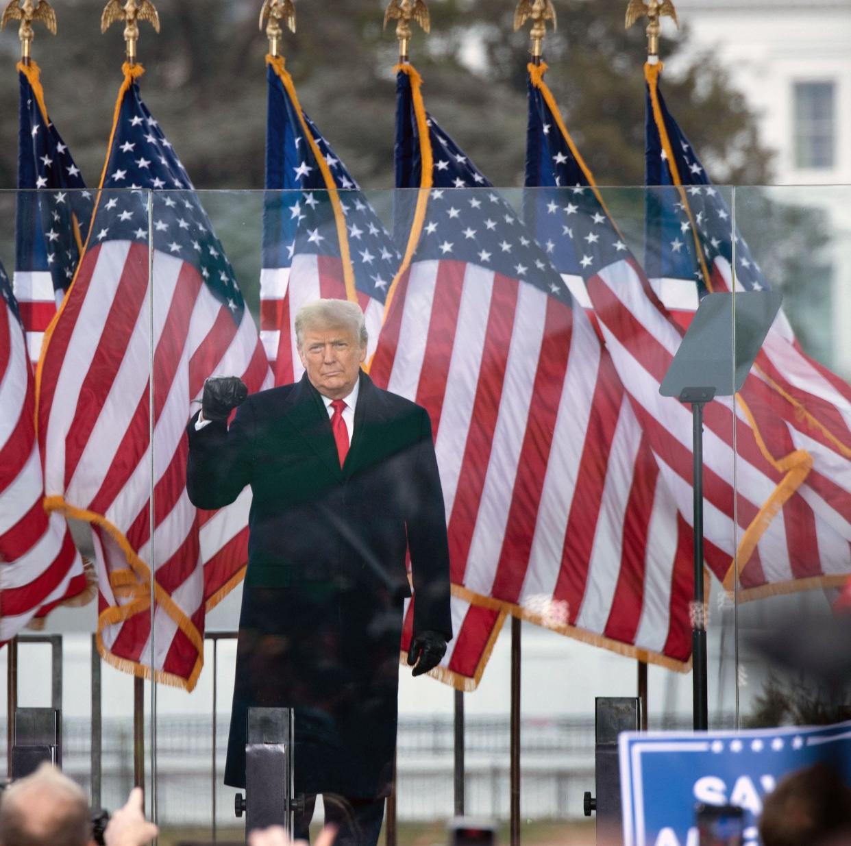 Then-President Donald Trump speaks to supporters from The Ellipse on January 6, 2021.