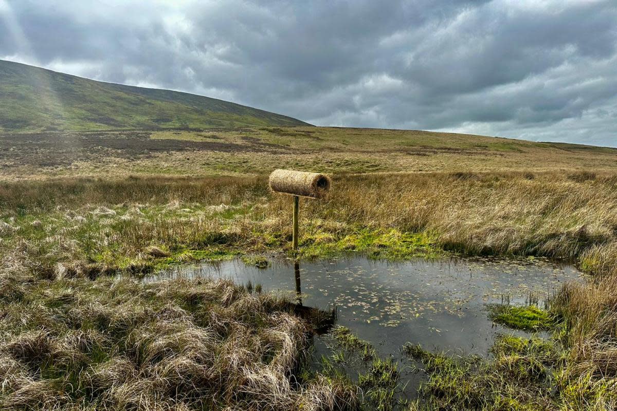The duck tubes have been installed on the moors <i>(Image: Forest of Bowland Moorland Group)</i>
