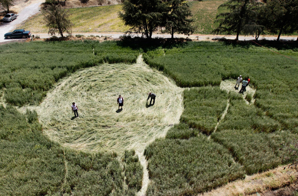 People stand inside one of five crop circles in an oat field in Tlapanoloya on the outskirts of Mexico City March 23, 2011. Five geometric patterns of pressed oat stalks were sighted by locals on two different fields since they appeared on Saturday and Sunday. (REUTERS/Henry Romero)