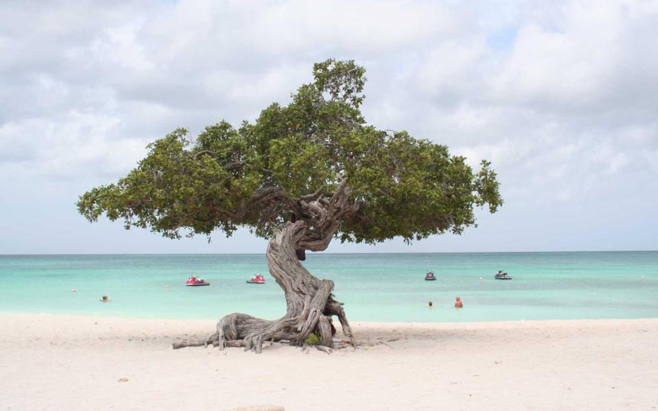 Eagle Beach, Aruba