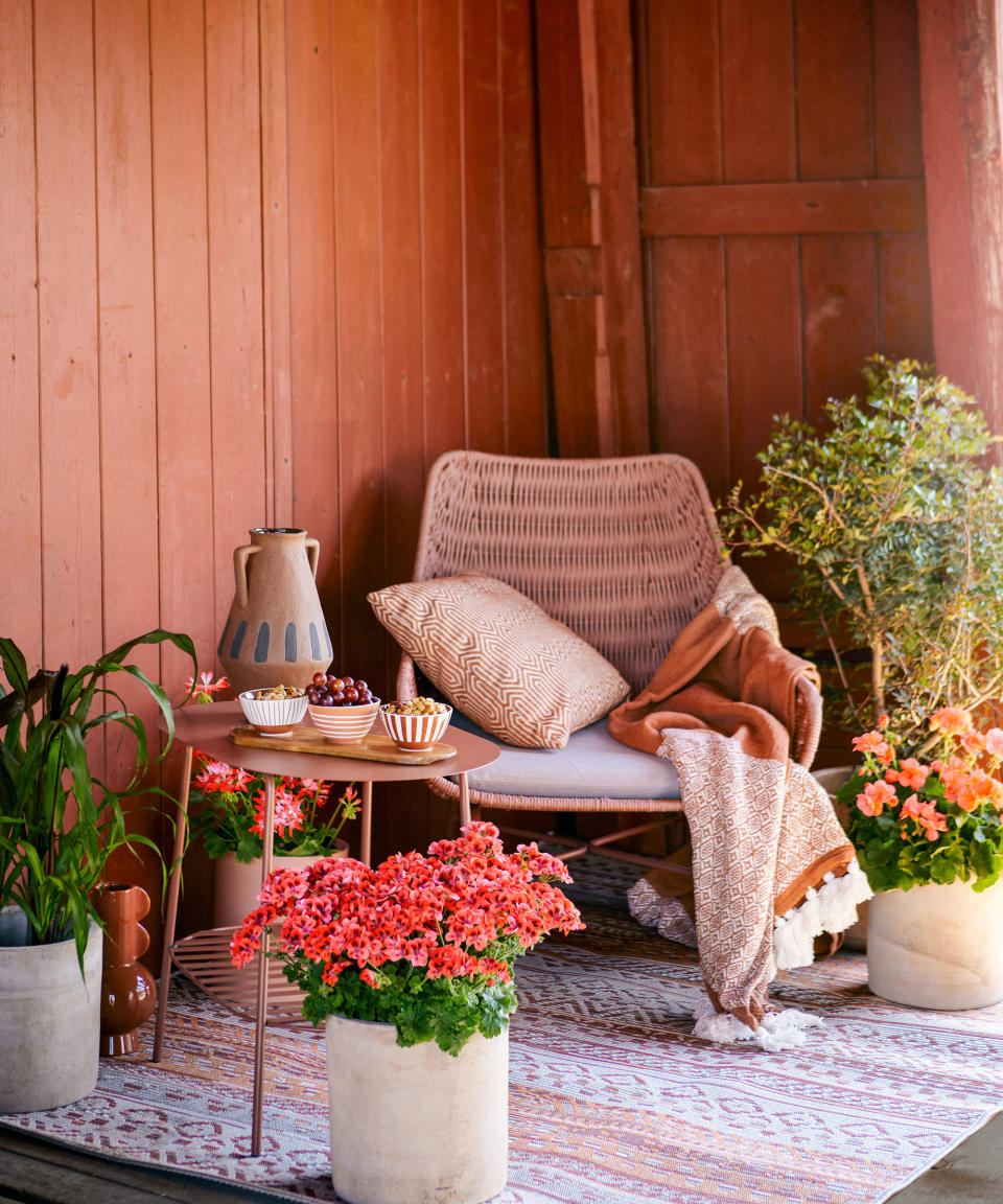 covered deck with garden furniture and pelargonium plants