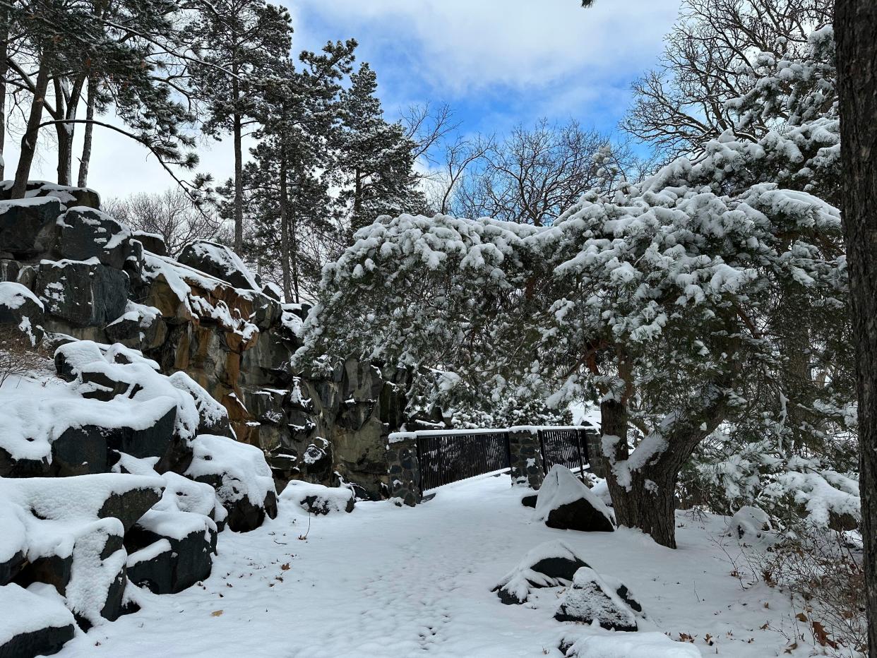 Snow clings to the trees along a walking path at Como Lake in St. Paul, Minn., on Friday (AP)