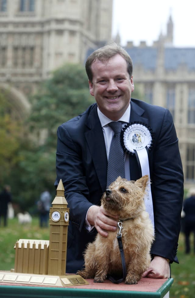 Westminster Dog of the Year