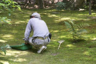 <p>Giardiniere in Inghilterra – Sì, così a leggerlo sembra decisamente meno affascinante di molti dei lavori che abbiamo raccontato fino a ora. Ma è un lavoro all’aperto, poco stressante, creativo e, alla fine, si ha uno stipendio che si aggira attorno ai 25mila euro. (Credits – Flickr/goodwines) </p>