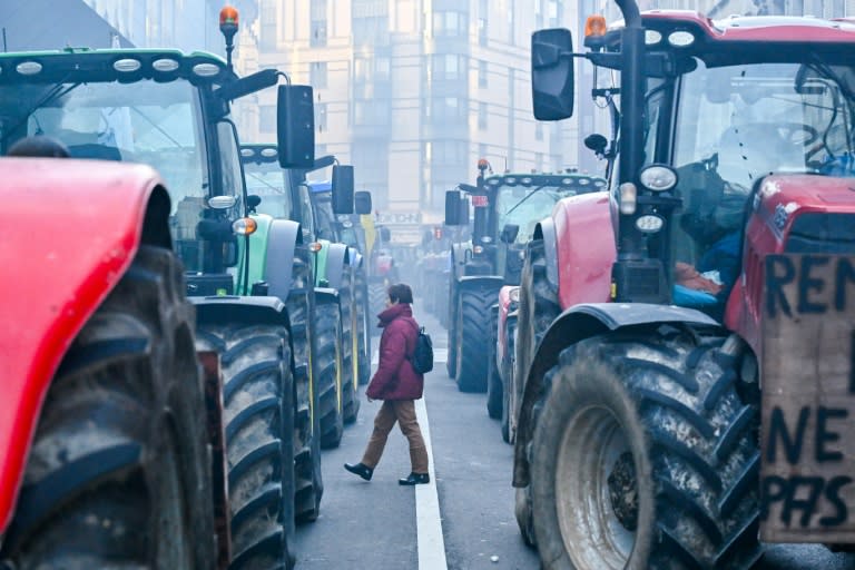 Die Agrarministerinnen und -minister der Europäischen Union beraten bei ihrem Treffen am Montag (ab 10.00 Uhr) in Luxemburg erneut über Zugeständnisse an die Landwirtschaft. Eine endgültige Entscheidung wird am Montag jedoch nicht erwartet. (DIRK WAEM)