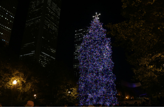 Millennium Park Where: Chicago, Illinois