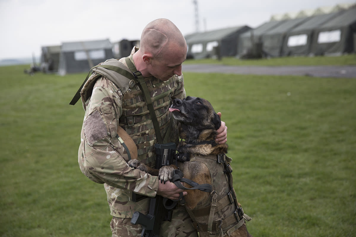 https://www.gettyimages.com/detail/news-photo/private-terry-gidzinski-and-his-military-working-dog-news-photo/480667901