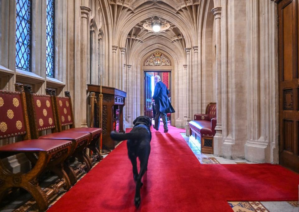 Speaker of the House of Commons Sir Lindsay Hoyle with Dexter (UK Parliament/Jessica Taylor) (PA Media)