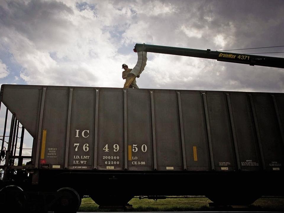  A worker directs grain into a train car in Alberta.