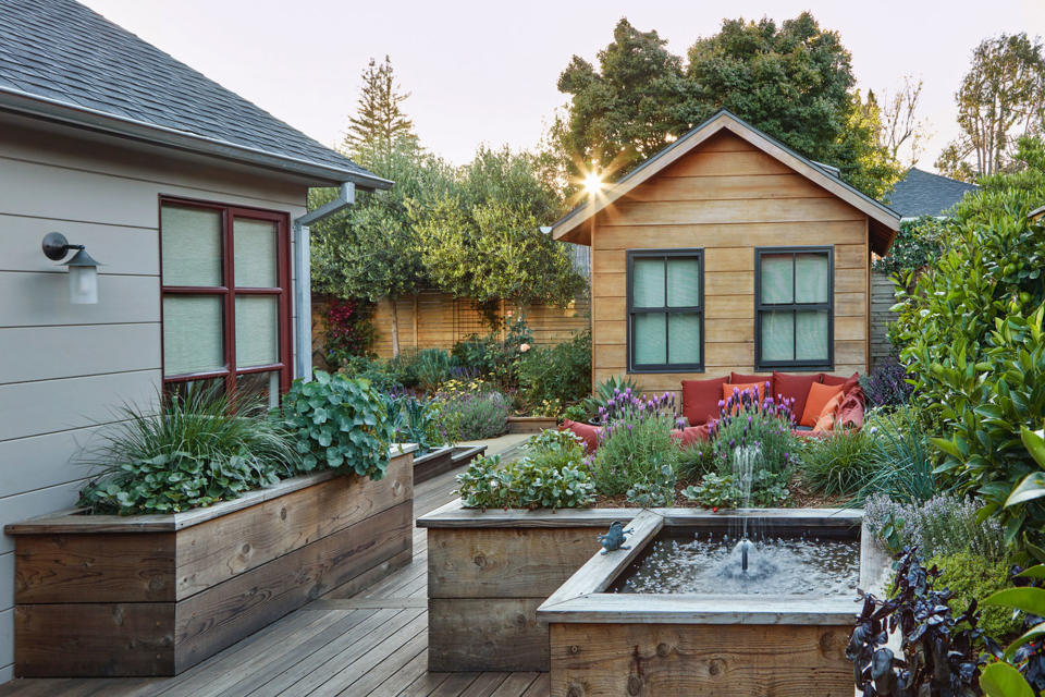 a modern vegetable garden design in the backyard