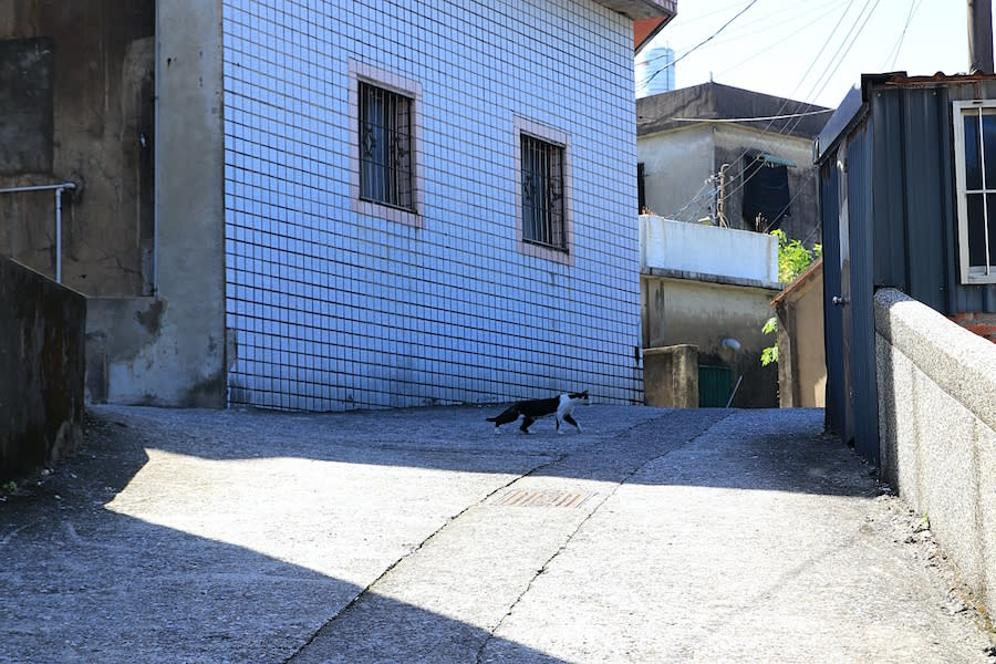 新北金山｜貪心咖啡館