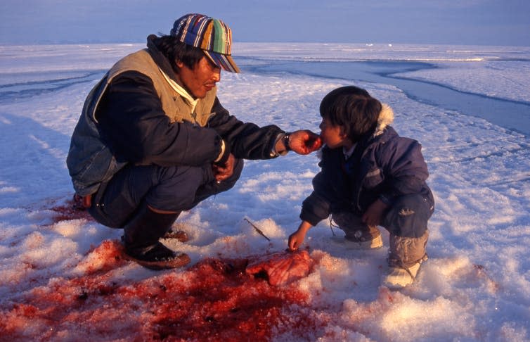 A person feeds a child with meat from a recent kill in the snow