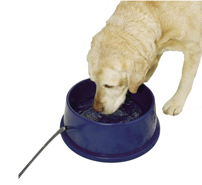 heated dog bowl, K&H heated dog bowl