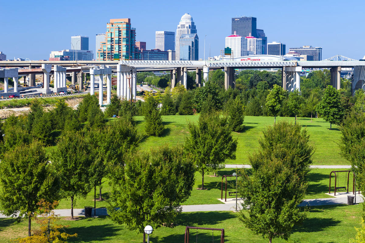 Living in tree-filled neighborhoods may reduce risk of heart disease, study shows