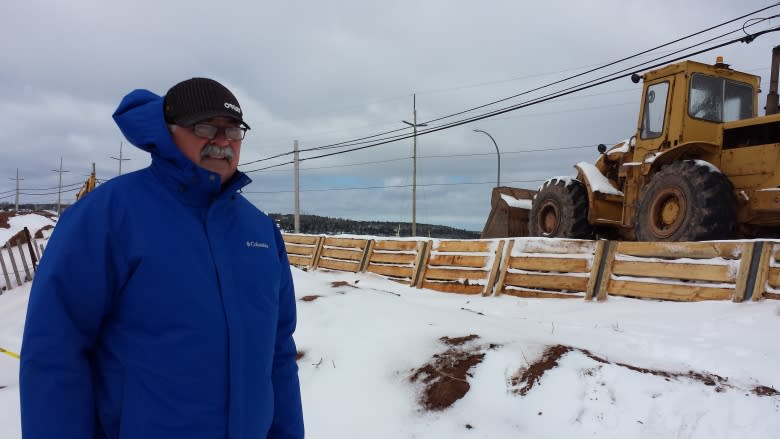 Souris, P.E.I. seawall construction worries wildlife group