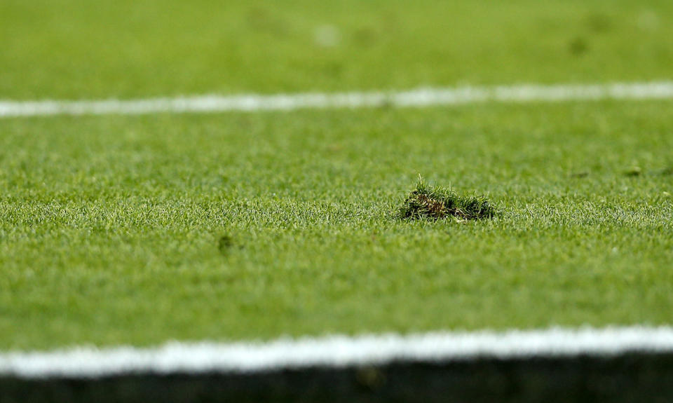 Levi's Stadium Super Bowl Turf