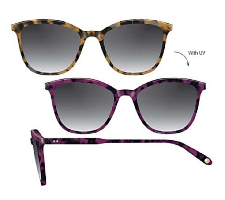 Garrett Leight Fall Frames