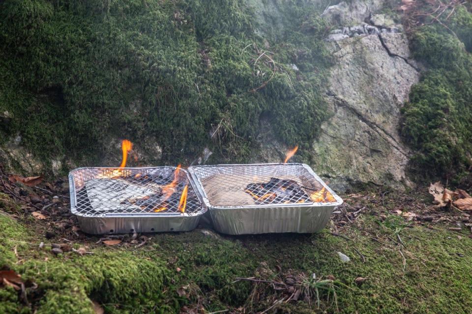 A couple of disposable barbecues (Alamy/PA)