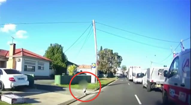 Vision from the dashcam shows the toddler on the street's edge. Source: 7 News