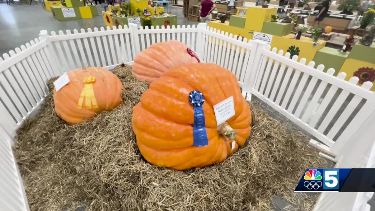 Huge pumpkin breaks record at Champlain Valley Fair