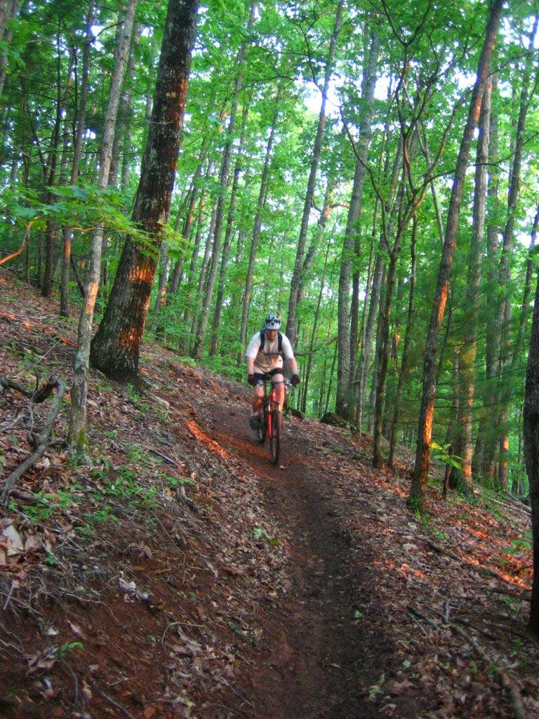 A mountain biker rides the Laurel Ridge Trail in DuPont State Recreational Forest. This and all single-track trails in the state forest are currently closed due to poor conditions.