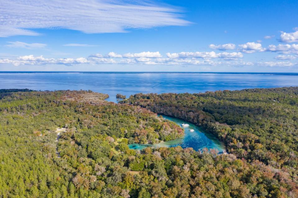 Ocala National Forest - Silver Glen Springs